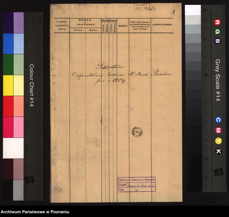 Obraz 3 z jednostki "Duplicat defunctorum"