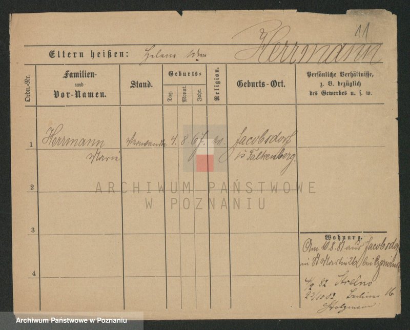 Obraz 11 z jednostki "Herman - Hermyła"