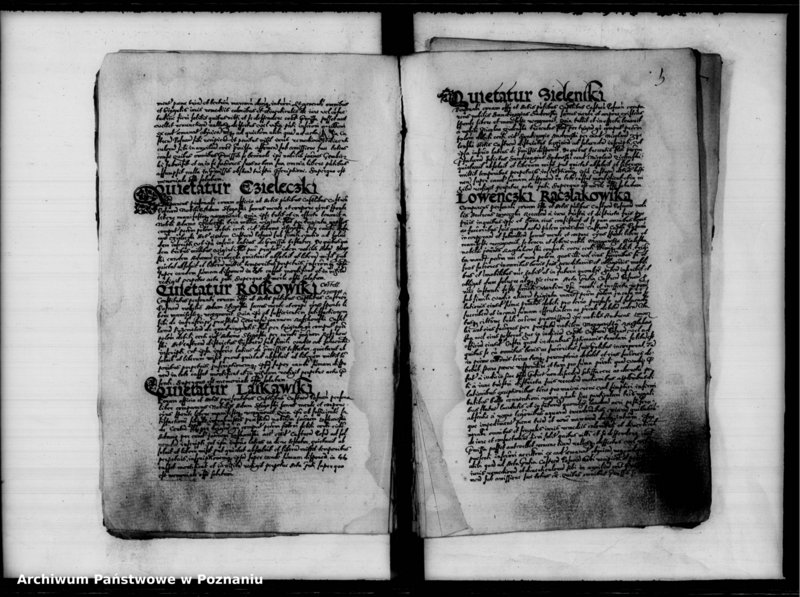 Obraz 8 z jednostki "Inscriptiones, relationes [inducta]"