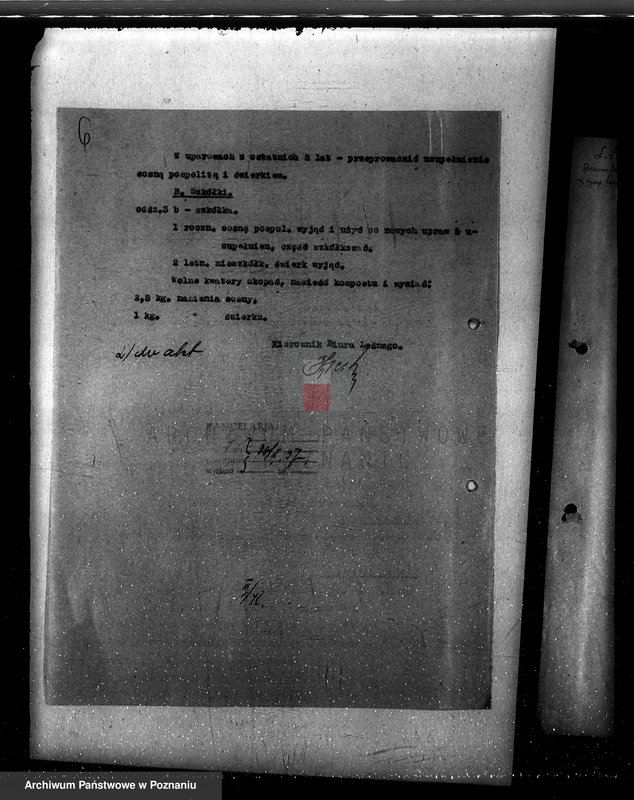 Obraz 10 z jednostki "Nadzór nad gospodarką w lasach Konarzewa powiatu rawickiego"