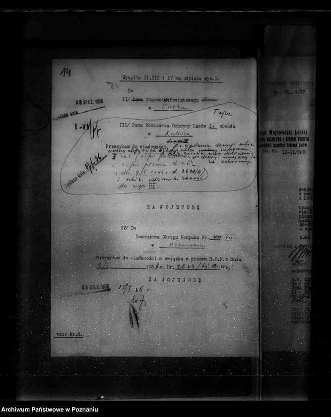 Obraz 18 z jednostki "Parcele leśne pod nazwą,,Zakrzew" powiat turecki"