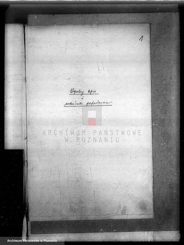 Obraz 5 z jednostki "Plan urządzenia gospodarstwa leśnego lasu majętności Dakowsko-Wojnowickiej w powiecie nowotomyskim"