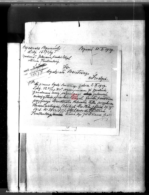 Obraz 9 z jednostki "Zalesienie nieużytków w powiecie średzkim"