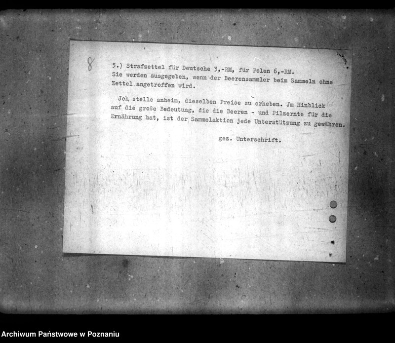 Obraz 13 z jednostki "Polizeiverordnung zum Schutze der Feldfrüchte und der Walderzeugnisse"
