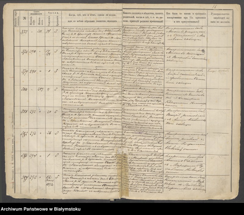 Obraz 19 z jednostki "[Akta urodzeń za lata 1893-1895]"