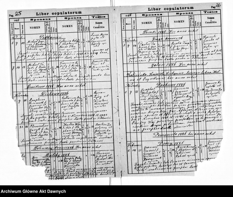 image.from.unit.number "Parafia: Podkamień Rohatyński. Dekanat: Świrz. Kopie z ksiąg metrykalnych ur., śl., zg. 1874 i śl. 1886 dla miasta Podkamień i wsi: Dehowa, Duliby*, Fraga*, Dziczki, Jahłusz, Knihynicze, Kniesioło*, Psary, Rusiatycze, Strzeliska Stare*, Wyspa*, Zagórze, Lubsza, Podbórze*, Leszczyn*, Lubsza*."
