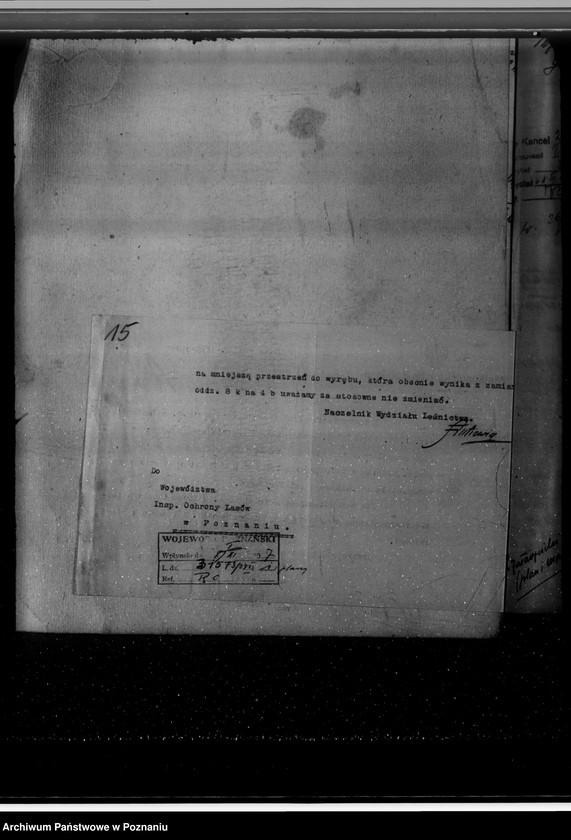 Obraz 19 z jednostki "Gospodarka w lasach majątku Jarogniewice powiat kościański"