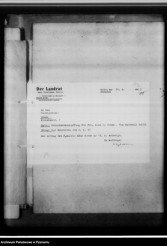 Obraz 17 z jednostki "[Korespondencja w sprawach organizacyjnych, sprawozdanie z działalności], Kreissippenamt Grätz [Grodzisk, powiat nowotomyski]"