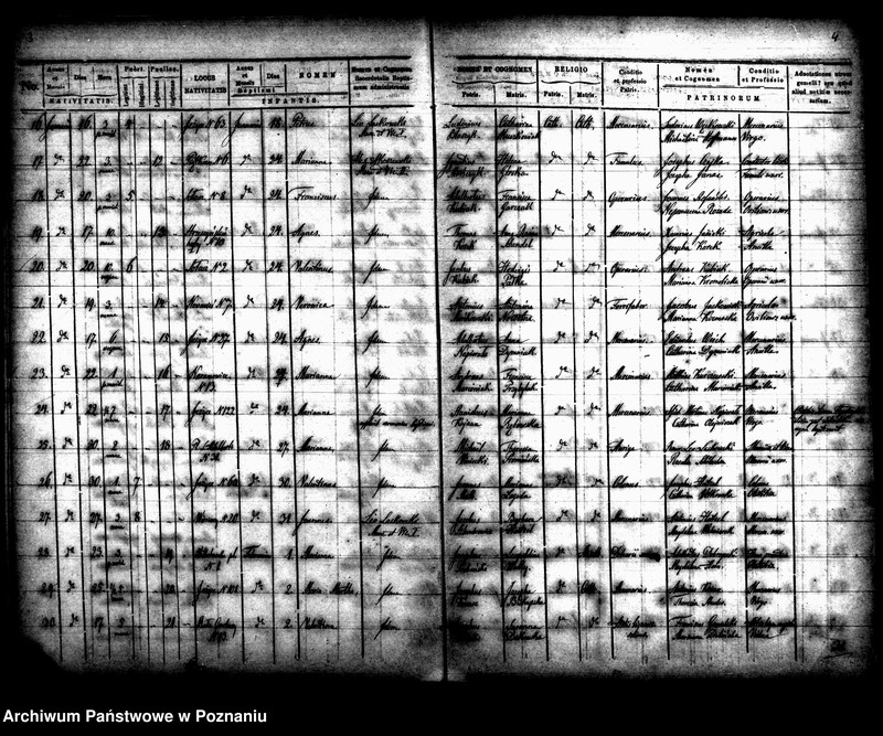 Obraz 4 z jednostki "Księga urodzin"