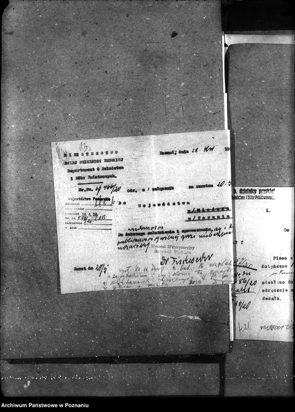 Obraz 16 z jednostki "Sprawy szczegółowo-Nosacizna"