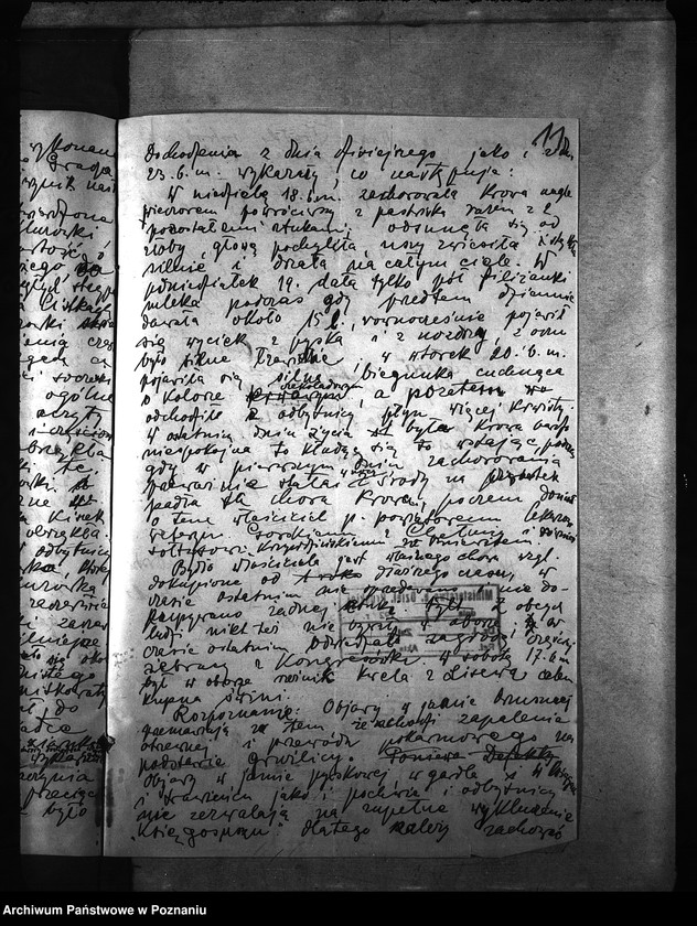 Obraz 16 z jednostki "Księgosusz - Chełmno"