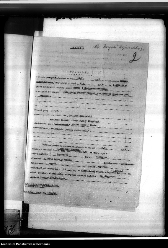 Obraz 6 z jednostki "Las majętności Gierczyce powiatu kępińskiego"