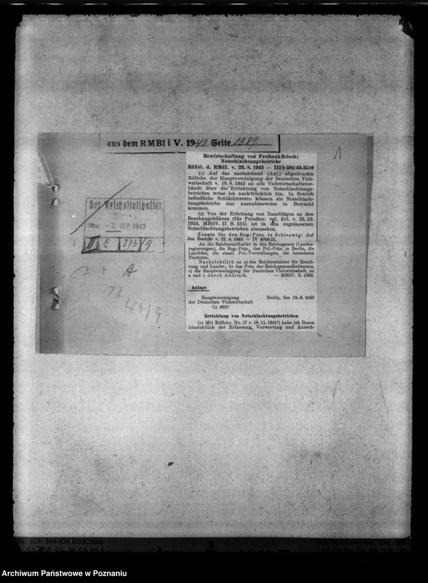 Obraz 5 z jednostki "Freibankfleisch. Notschlachtungen"