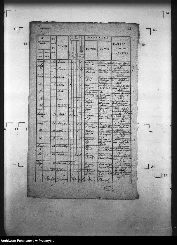 Obraz 20 z jednostki "[Kopie ksiąg metrykalnych parafii Trepcza (dekanat Sanok)]"