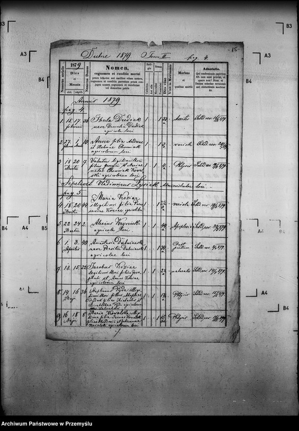 image.from.unit.number "[Kopie ksiąg metrykalnych parafii Leluchów z filią Dubne (dekanat Muszyna)]"