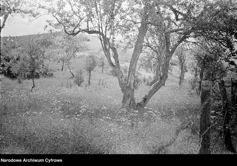 image.from.unit.number "Janowiec"