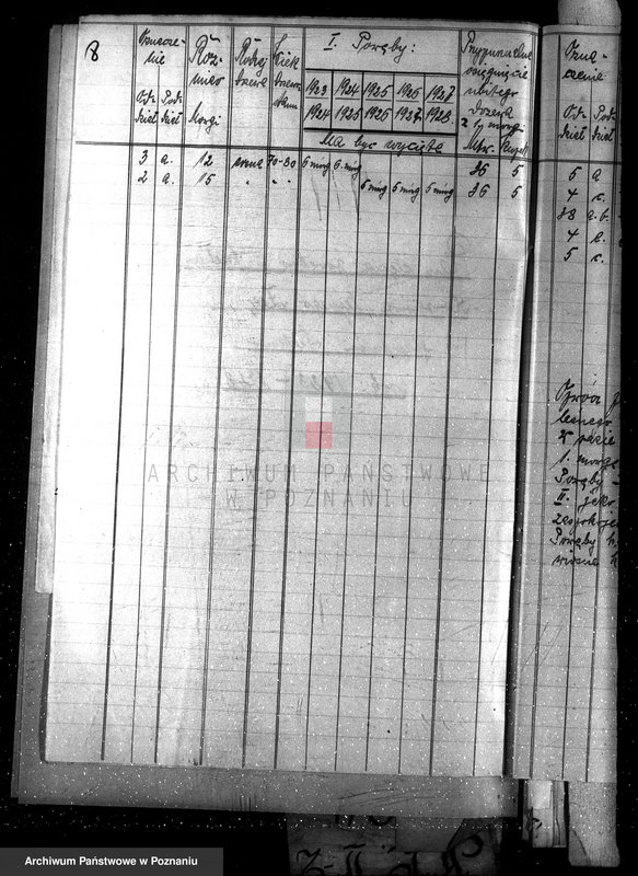 Obraz 12 z jednostki "Majętność leśna /Siekówko/ powiat kościański"