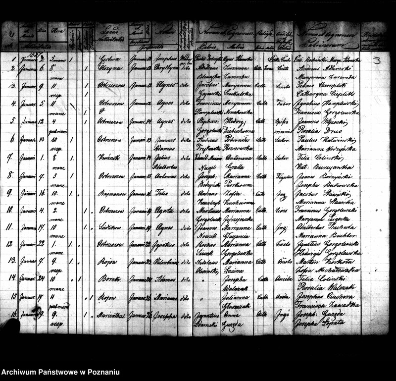 image.from.unit.number "Duplikaty zaślubionych, urodzonych, zmarłych"