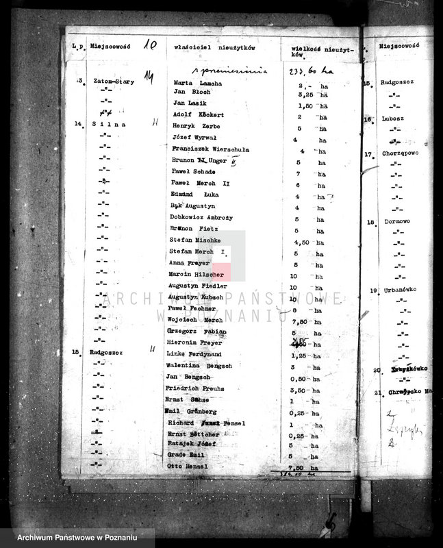 Obraz 18 z jednostki "Zalesienie nieużytków w powiecie międzychodzkim"