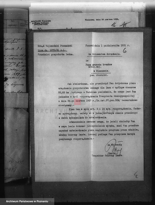 Obraz 10 z jednostki "Nadzór nad gospodarką w lasach majętności Nieszawa powiat obornicki"