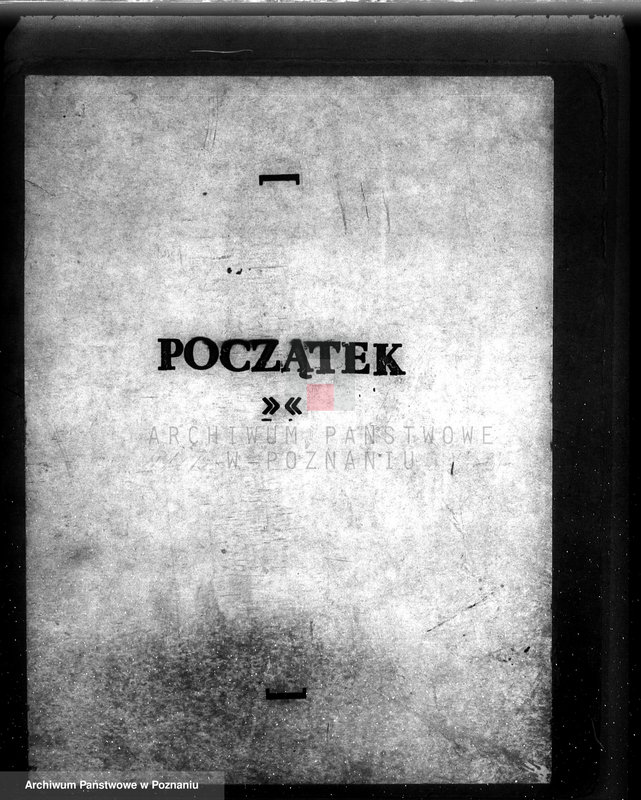 Obraz 3 z jednostki "/Las majątku Wielichowo/"