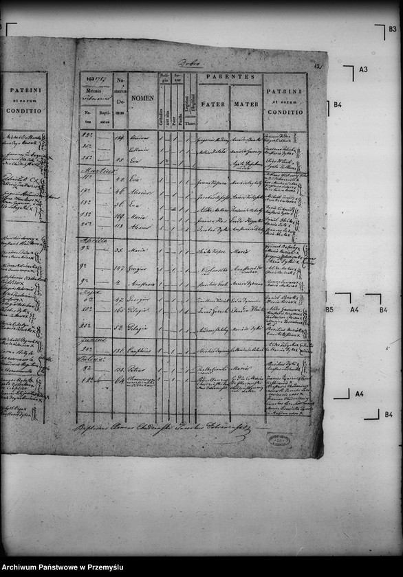 Obraz 16 z jednostki "[Kopie ksiąg metrykalnych parafii Dobra (dekanat Sieniawa)]"