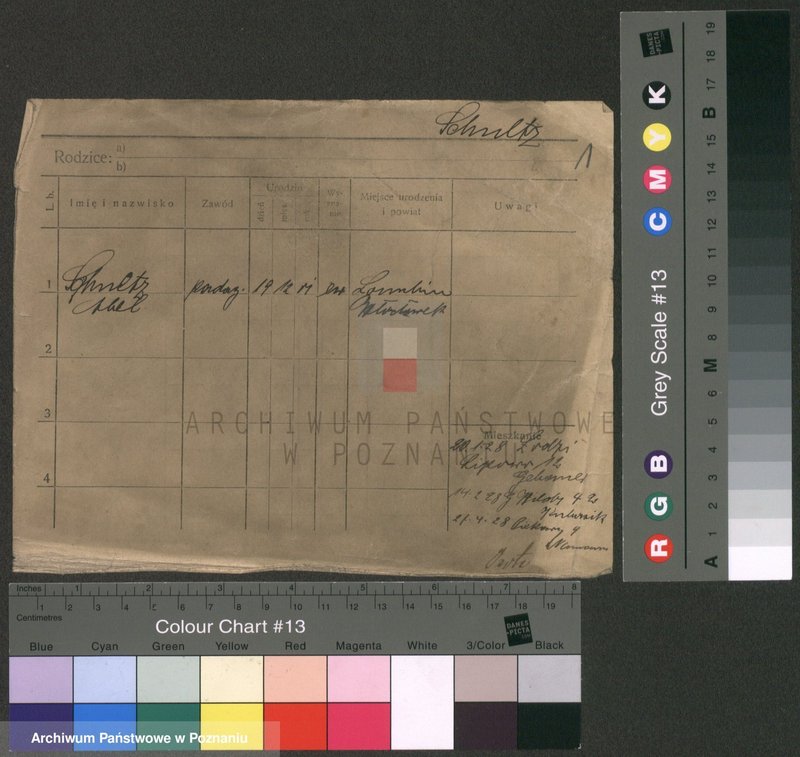 Obraz 5 z jednostki "Szulc (samotni mężczyźni do Juliusz)"