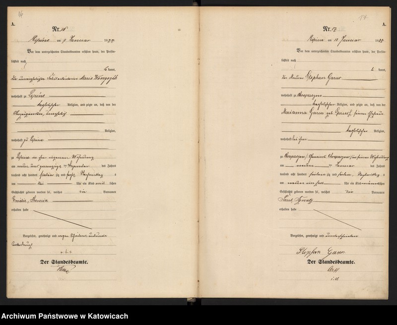 image.from.unit.number "Księga urodzeń T.1 nr 1-356"