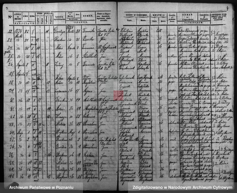 Obraz 5 z jednostki "Duplicatus baptisatorum, copulatorum, mortuorum"