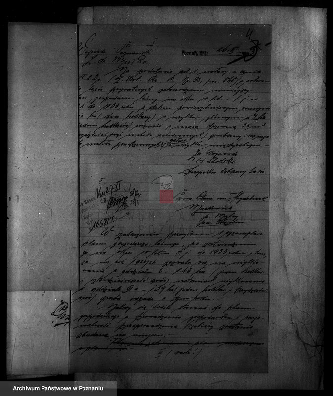 Obraz 9 z jednostki "Nadzór nad gospodarką w lasach majętności Markowice powiat mogileński"