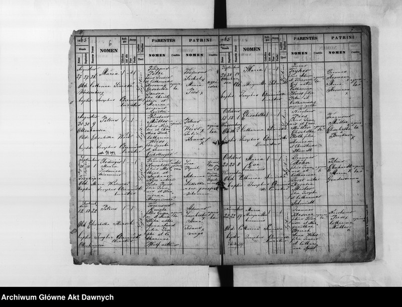 image.from.unit.number "Parafia: Białogóra (Weissenberg). Dekanat: Gródek Jagielloński. Księga metrykalna urodzeń dla całej parafii."