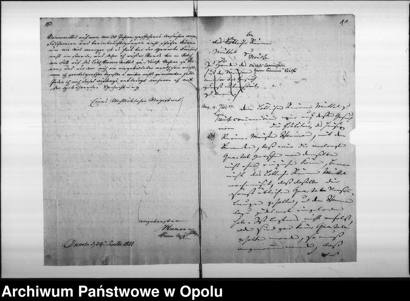 Obraz 12 z jednostki "Acta specialia die Beschwerde des Riemermittels zu Neisse entgegen den hiesigen Riemermeister Joseph Heumann wegen verweigerter Bezahlung der Mittels-Beiträge betreffend Vol: I de anno 1819"
