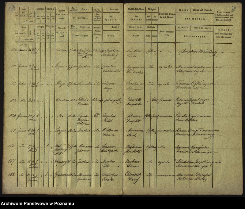 Obraz 17 z jednostki "Księga urodzeń"