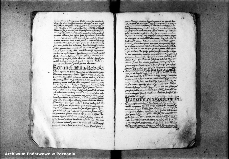 Obraz 14 z jednostki "Inscriptiones [inducta]"