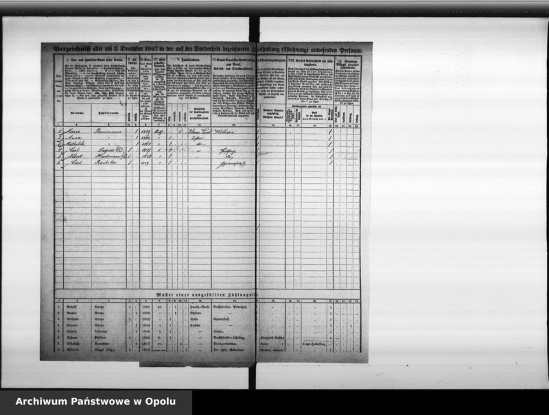Obraz 16 z jednostki "[Okręg spisowy Nr 30. Spis ludności, 3 XII 1867]"