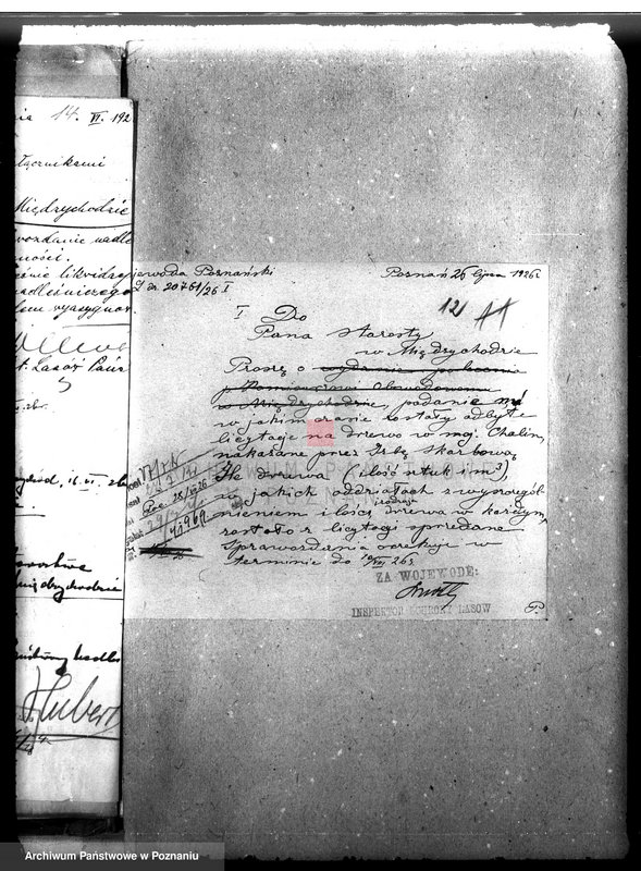 Obraz 17 z jednostki "Majętność leśna Chalin powiat międzychodzki"