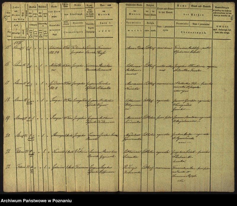 Obraz 6 z jednostki "Księga urodzeń"