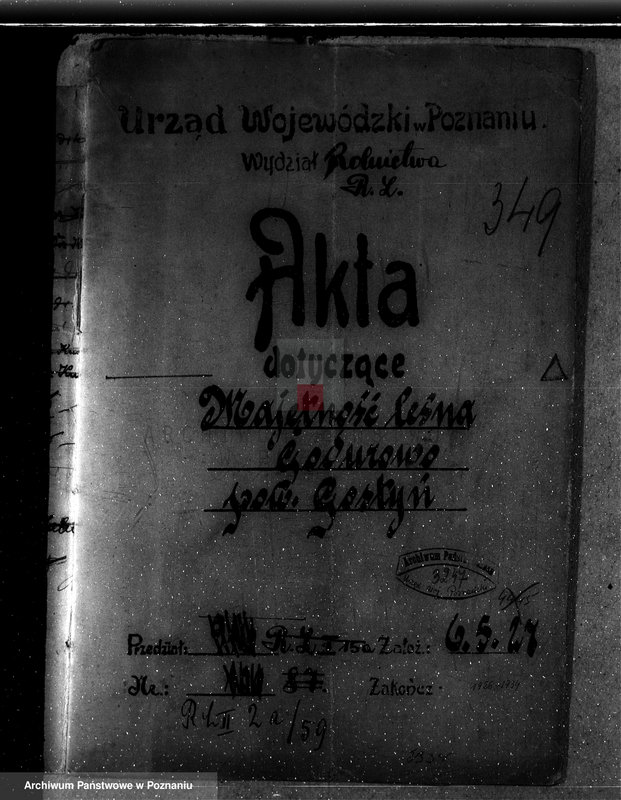 Obraz 4 z jednostki "Majętność leśna Godurowo w powiecie gostyńskim"