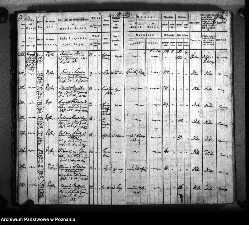 Obraz 6 z jednostki "Sterbenbuch"