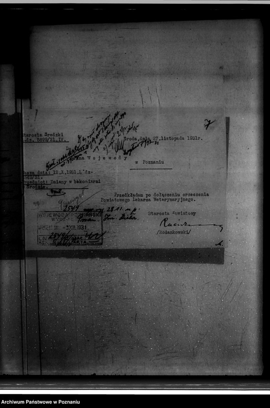 Obraz 11 z jednostki "Zatwierdzenie projektu przebudowy i rozbudowy Rzeźni Miejskiej w Środzie nr 478 własność Magistratu miasta Środy"