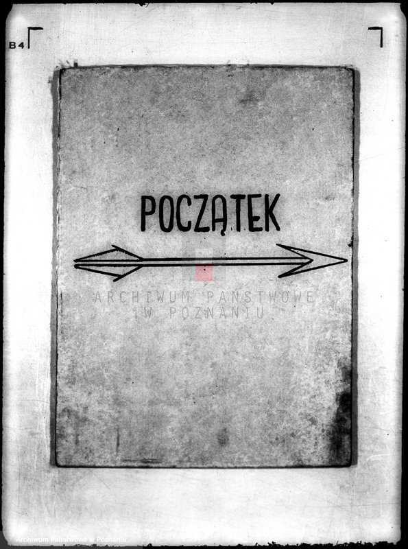 Obraz 3 z jednostki "/Federacja Polskich Związków Obrońców Ojczyzny/"