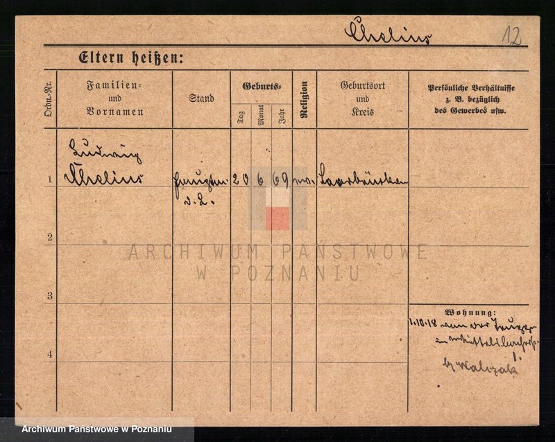 Obraz 14 z jednostki "Chelek - Chmella"