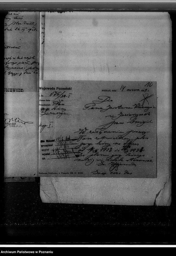 Obraz 14 z jednostki "Nadzór nad gospodarką w lasach majętności Jezierzyce"