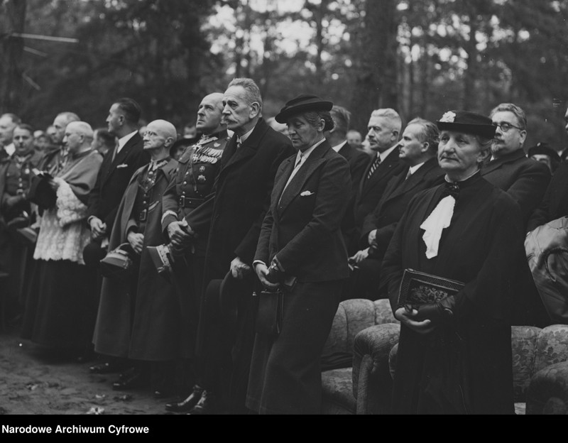 image.from.collection.number "Zofia Moraczewska111"