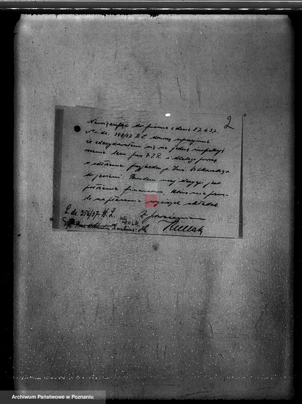 Obraz 6 z jednostki "Napachanie powiat poznański nadzór nad gospodarką leśną"