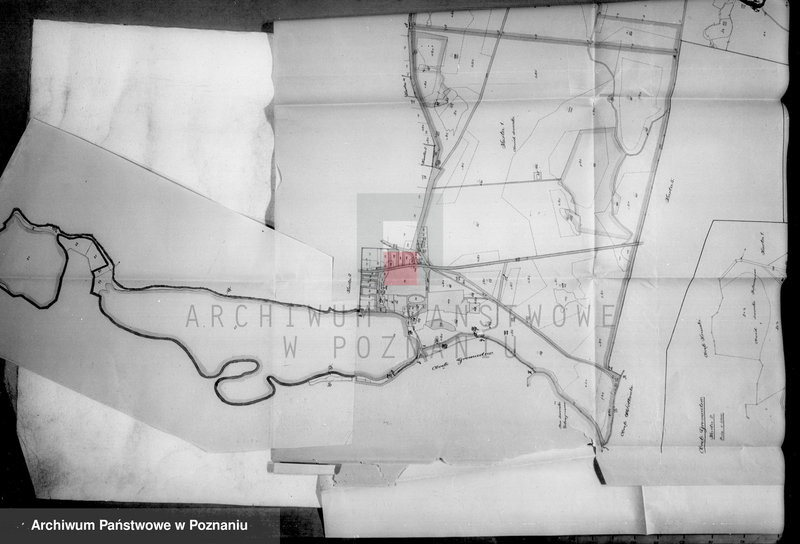 Obraz 20 z jednostki "Operat wyłączeń w myśl art.4 i 5 ustawy o reformie rolnej majątku Falmierowo powiatu wyrzyskiego mikrofilm"