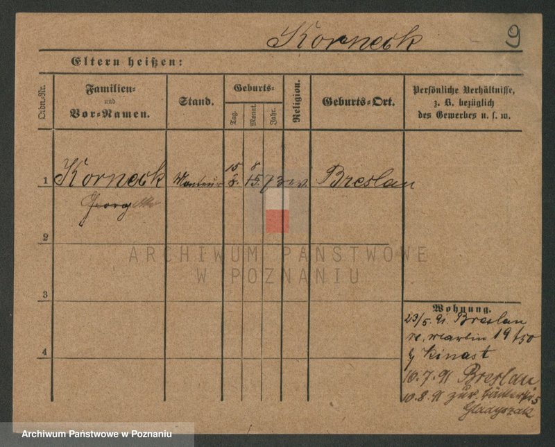 Obraz 9 z jednostki "Kornecki - Kortus"