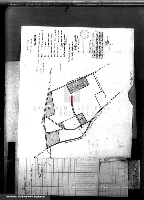 Obraz 15 z jednostki "Nadzór nad gospodarką w lasach majętności Ruchocin powiecie gnieźnieńskim"