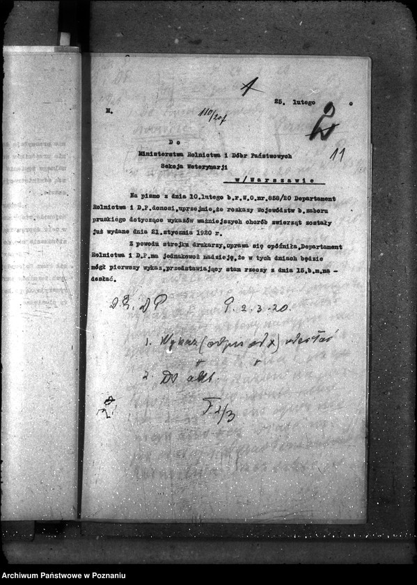 Obraz 20 z jednostki "Sprawy ogólne Wykazy chorób zaraźliwych; [księgosusz, zaraza płucna]"