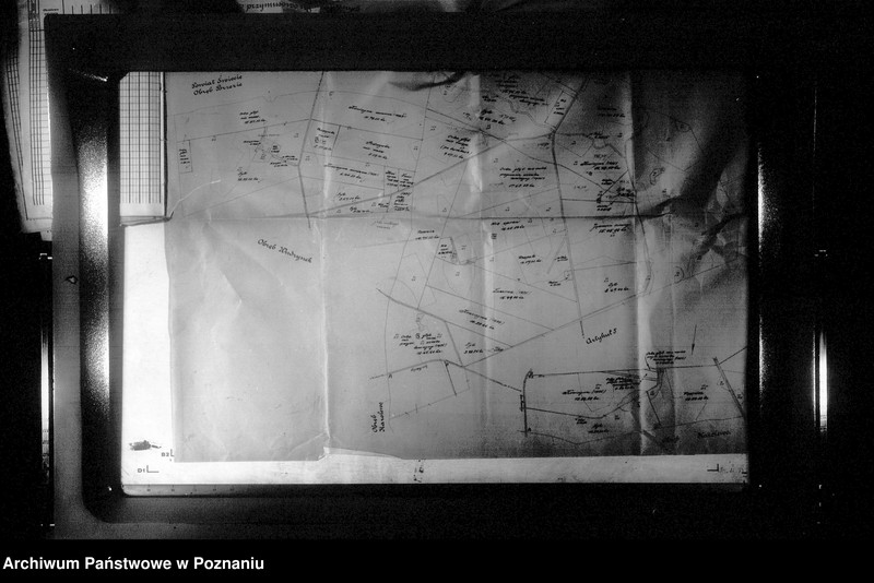 Obraz 15 z jednostki "Rejestr upraw i zasiewów dokonanych w jesieni 1935 r. w majątku Kotomierz powiatu bydgoskiego"